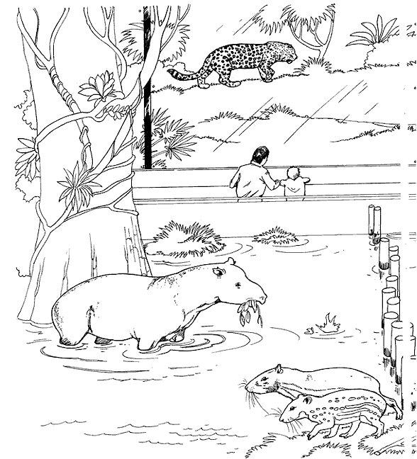 Plansa de colorat cu Gradina zoologica 15 7